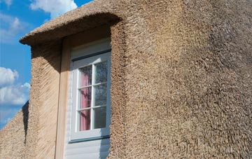 Swifts Green thatch roof disadvantages