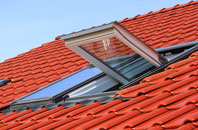Swifts Green roof window